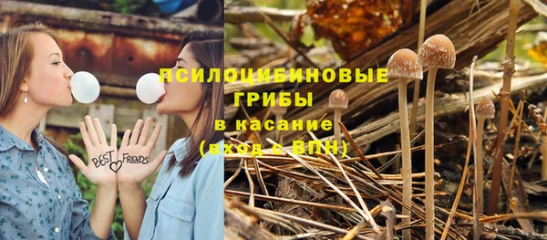 прущие крисы Балахна