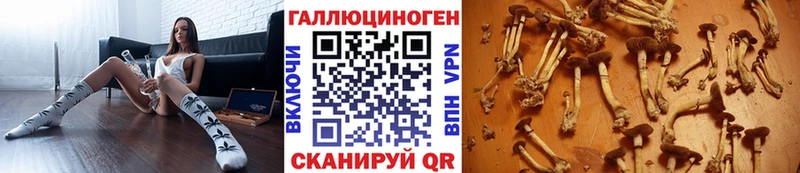 цены наркотик  Североуральск  Галлюциногенные грибы прущие грибы 