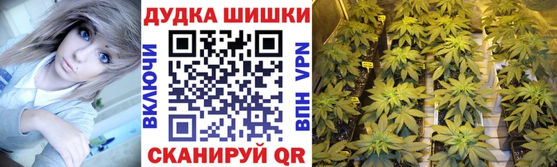 продажа наркотиков  Североуральск  Бошки марихуана планчик 